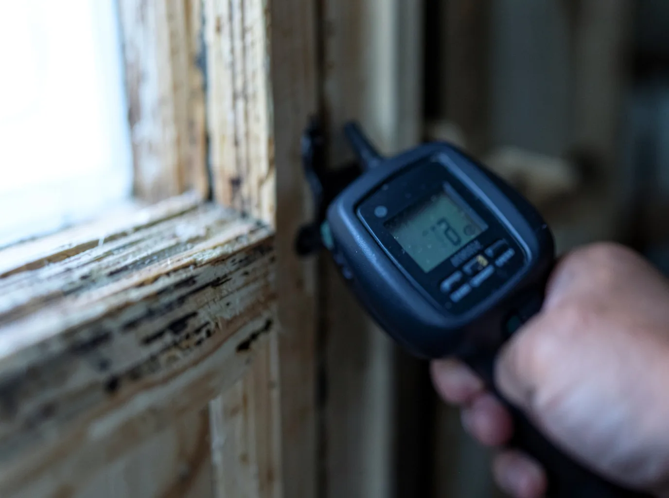Moisture Inspection And Documentation in Garwood, TX